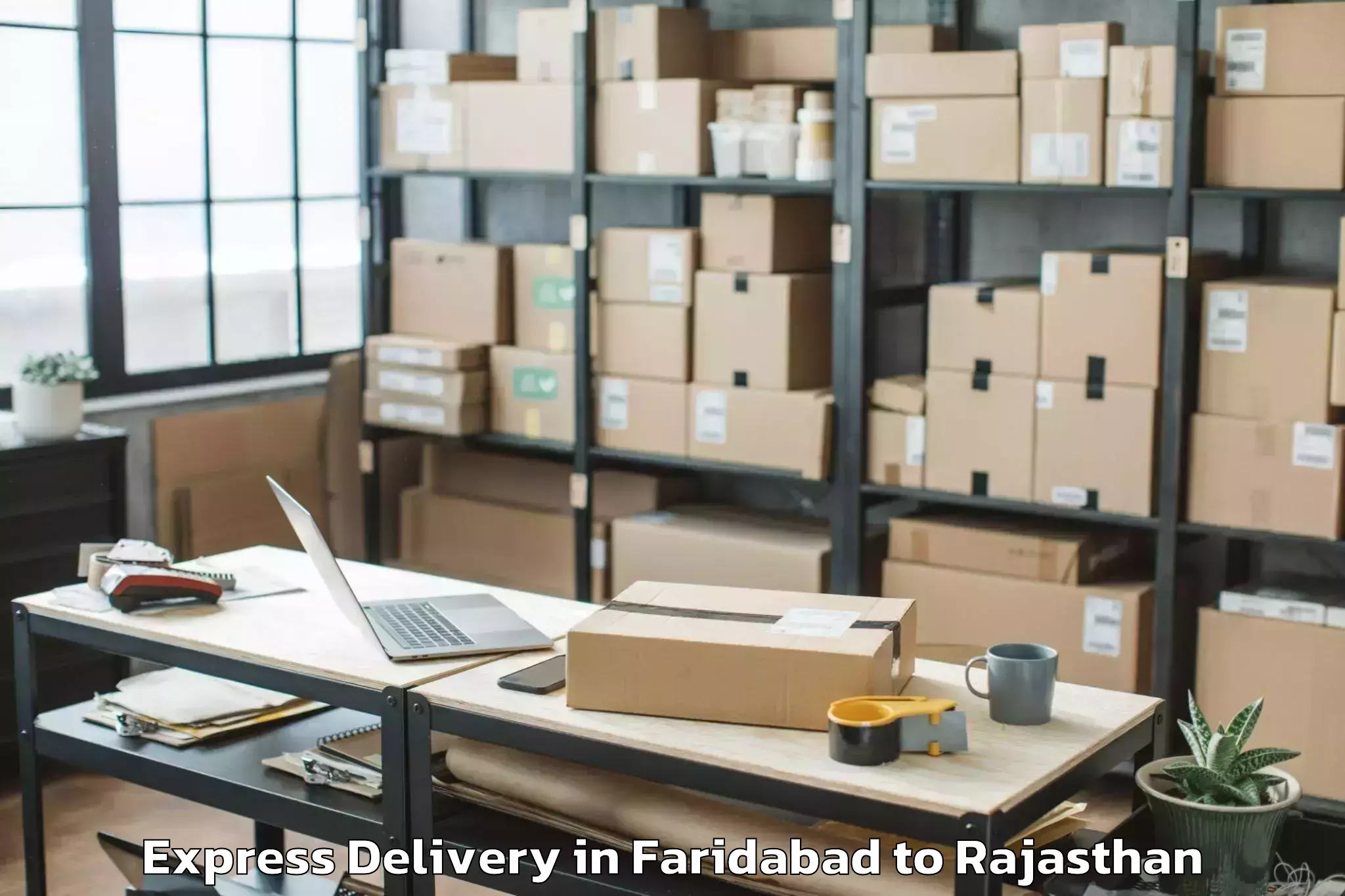 Faridabad to Chaksu Express Delivery